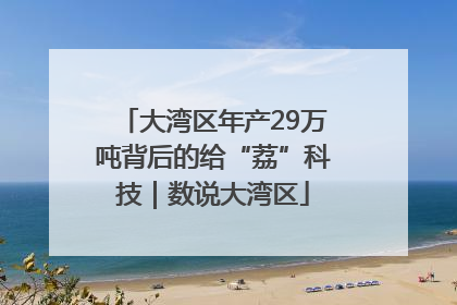 大湾区年产29万吨背后的给“荔”科技｜数说大湾区