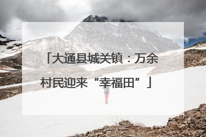 大通县城关镇：万余村民迎来“幸福田”