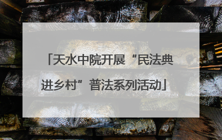 天水中院开展“民法典进乡村”普法系列活动