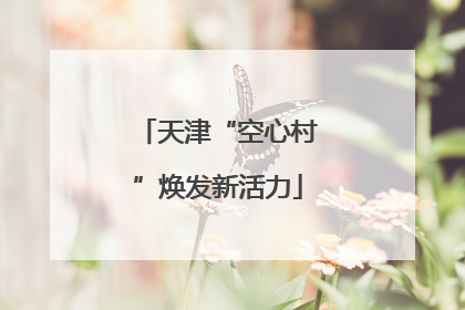 天津“空心村”焕发新活力