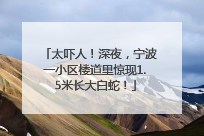 太吓人！深夜，宁波一小区楼道里惊现1.5米长大白蛇！