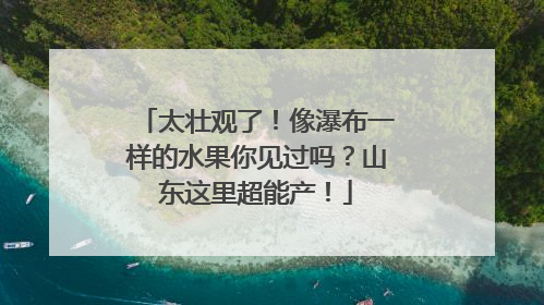 太壮观了！像瀑布一样的水果你见过吗？山东这里超能产！