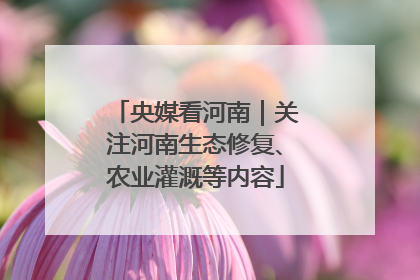 央媒看河南｜关注河南生态修复、农业灌溉等内容
