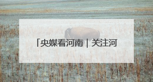 央媒看河南｜关注河南三夏麦收等内容