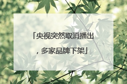 央视突然取消播出，多家品牌下架
