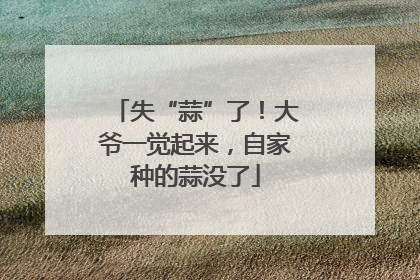 失“蒜”了！大爷一觉起来，自家种的蒜没了