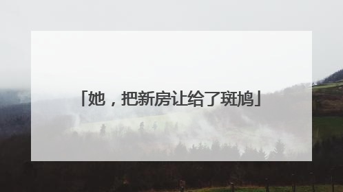 她，把新房让给了斑鸠