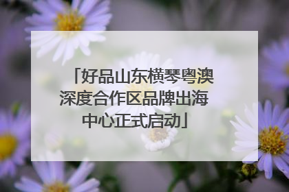 好品山东横琴粤澳深度合作区品牌出海中心正式启动