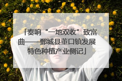 奏响“一地双收”致富曲——鄄城县董口镇发展特色种植产业侧记