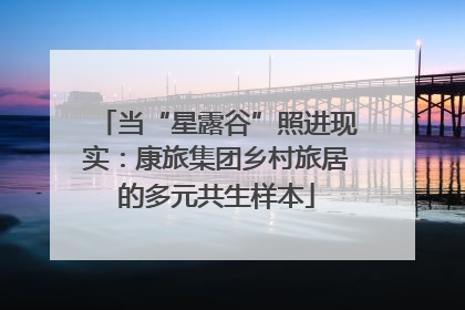 当“星露谷”照进现实：康旅集团乡村旅居的多元共生样本