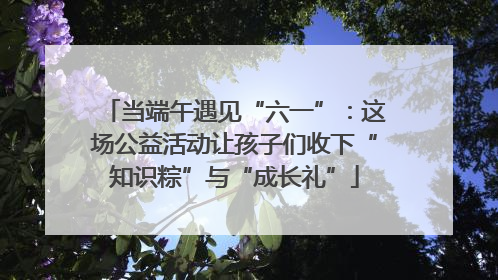 当端午遇见“六一”：这场公益活动让孩子们收下“知识粽”与“成长礼”