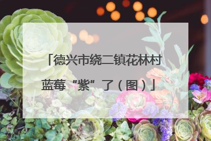 德兴市绕二镇花林村蓝莓“紫”了（图）