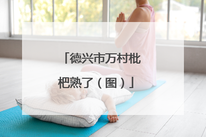 德兴市万村枇杷熟了（图）