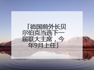 德国前外长贝尔伯克当选下一届联大主席，今年9月上任