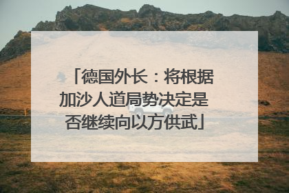 德国外长：将根据加沙人道局势决定是否继续向以方供武
