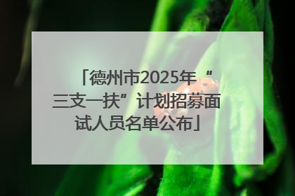 德州市2025年“三支一扶”计划招募面试人员名单公布