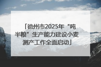 德州市2025年“吨半粮”生产能力建设小麦测产工作全面启动