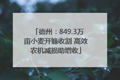德州：849.3万亩小麦开镰收割 高效农机减损助增收