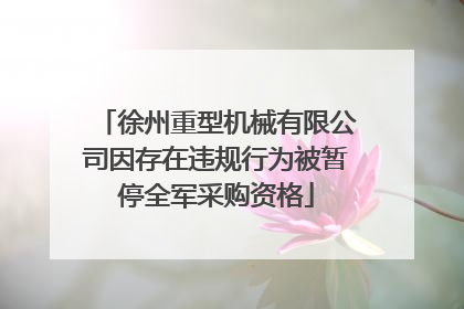 徐州重型机械有限公司因存在违规行为被暂停全军采购资格
