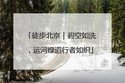 徒步北京｜碧空如洗，运河绿道行者如织