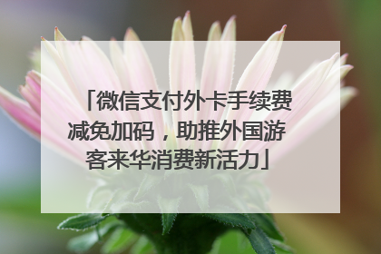 微信支付外卡手续费减免加码，助推外国游客来华消费新活力