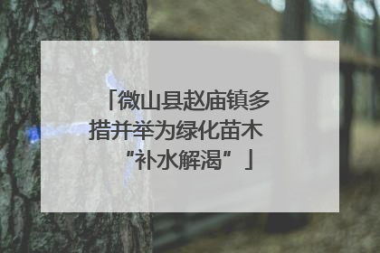 微山县赵庙镇多措并举为绿化苗木“补水解渴”