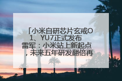小米自研芯片玄戒O1、YU7正式发布 雷军：小米站上新起点，未来五年研发翻倍再投2000亿元