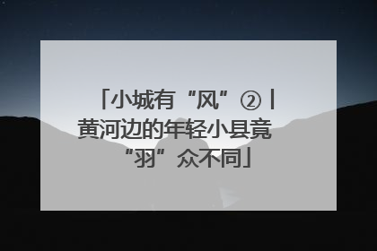 小城有“风”②丨黄河边的年轻小县竟“羽”众不同