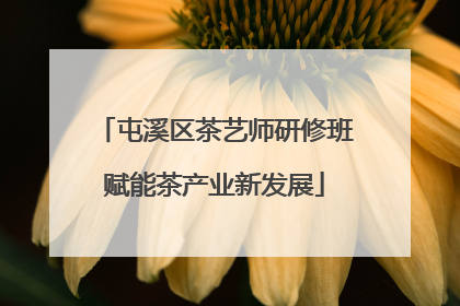 屯溪区茶艺师研修班赋能茶产业新发展