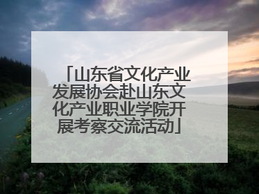 山东省文化产业发展协会赴山东文化产业职业学院开展考察交流活动