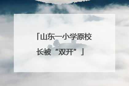 山东一小学原校长被“双开”