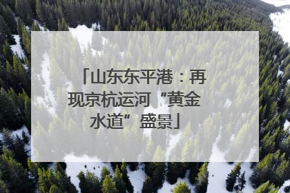 山东东平港：再现京杭运河“黄金水道”盛景