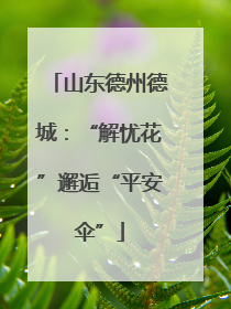 山东德州德城：“解忧花”邂逅“平安伞”