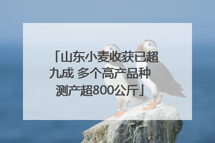 山东小麦收获已超九成 多个高产品种测产超800公斤