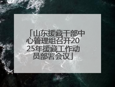 山东援藏干部中心管理组召开2025年援藏工作动员部署会议