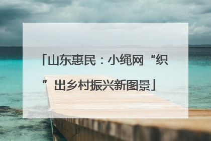 山东惠民：小绳网“织”出乡村振兴新图景