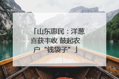 山东惠民：洋葱喜获丰收 鼓起农户“钱袋子”