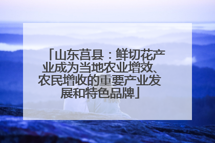 山东莒县：鲜切花产业成为当地农业增效、农民增收的重要产业发展和特色品牌