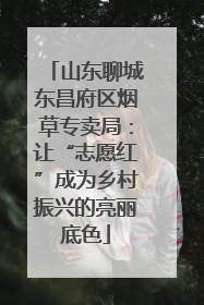 山东聊城东昌府区烟草专卖局：让“志愿红”成为乡村振兴的亮丽底色