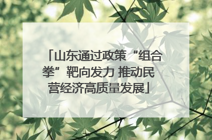 山东通过政策“组合拳”靶向发力 推动民营经济高质量发展