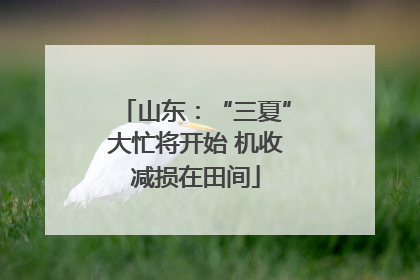 山东：“三夏”大忙将开始 机收减损在田间