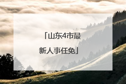 山东4市最新人事任免