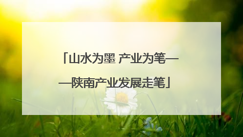 山水为墨 产业为笔——陕南产业发展走笔