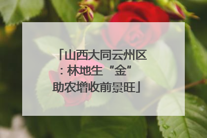 山西大同云州区：林地生“金” 助农增收前景旺