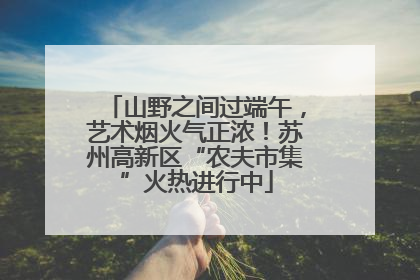 山野之间过端午，艺术烟火气正浓！苏州高新区“农夫市集”火热进行中