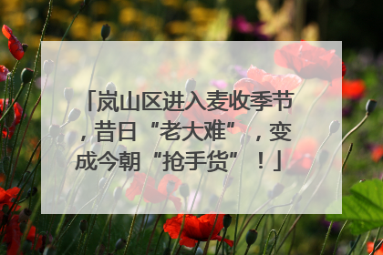 岚山区进入麦收季节，昔日“老大难”，变成今朝“抢手货”！