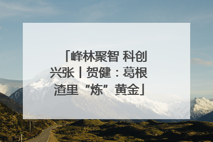 峰林聚智 科创兴张丨贺健：葛根渣里“炼”黄金