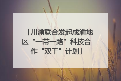 川渝联合发起成渝地区“一带一路”科技合作“双千”计划