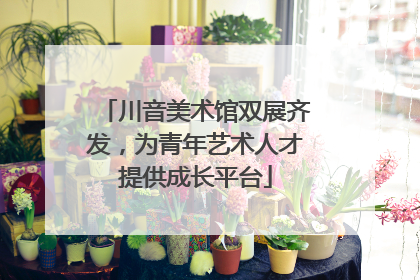川音美术馆双展齐发，为青年艺术人才提供成长平台