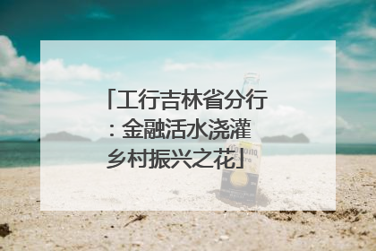 工行吉林省分行：金融活水浇灌 乡村振兴之花